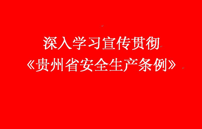 贵州省安全生产条例